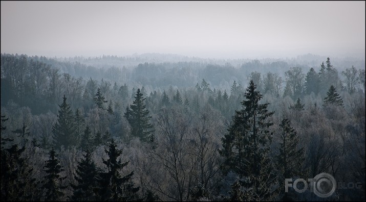 Pār Tālavas tumšajiem siliem