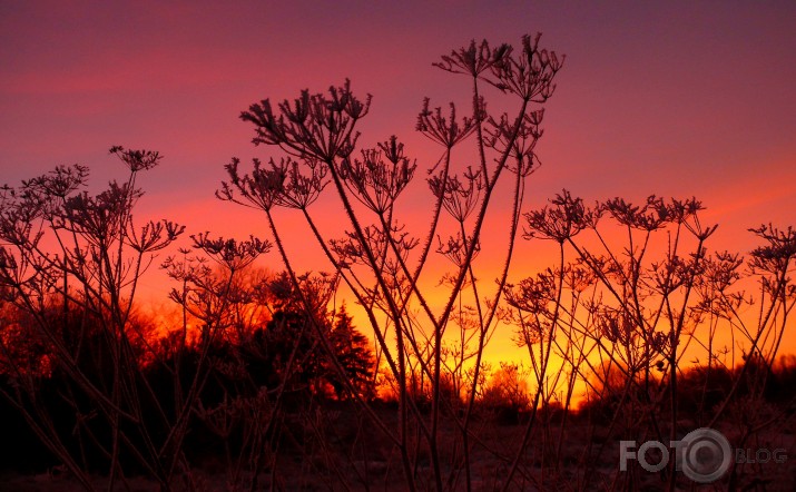 We`re grey in front of sunset 