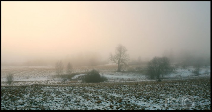 Dienas migla