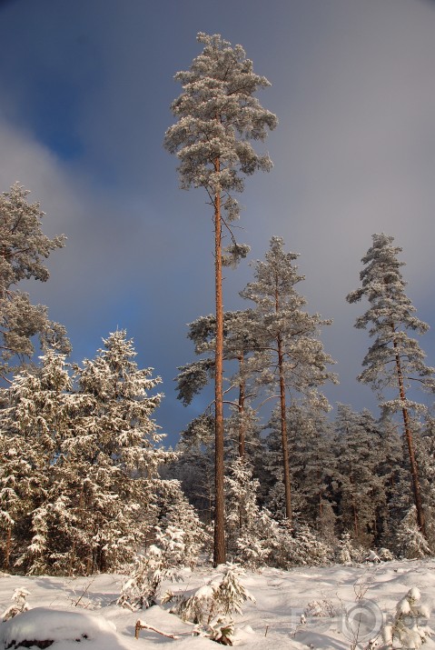 mākoņi nāk