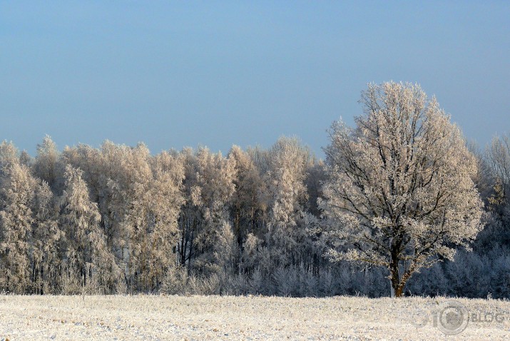 Vienkārša ziemas diena