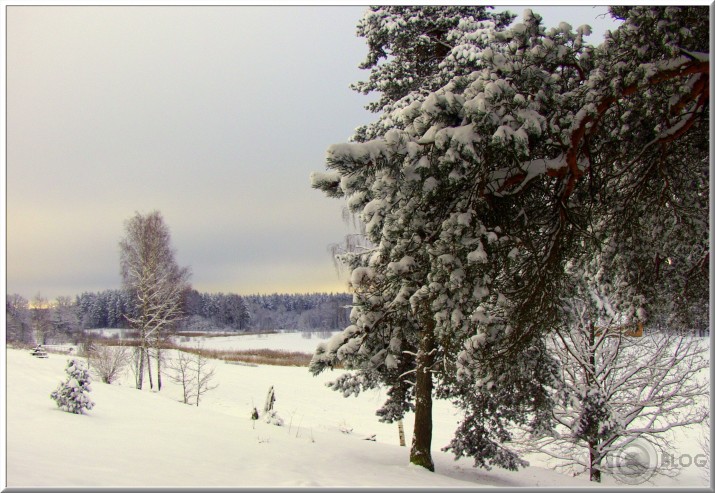 Gauja un tās apkārtne.
