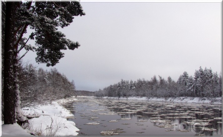 Gauja un tās apkārtne.