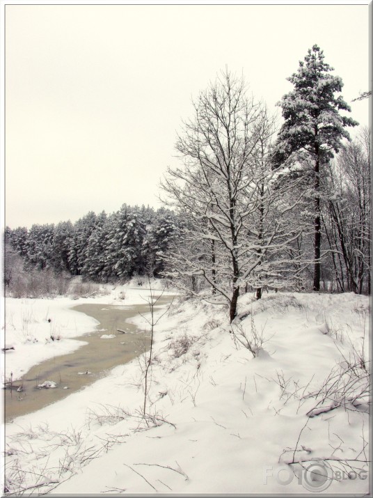 Gauja un tās apkārtne.