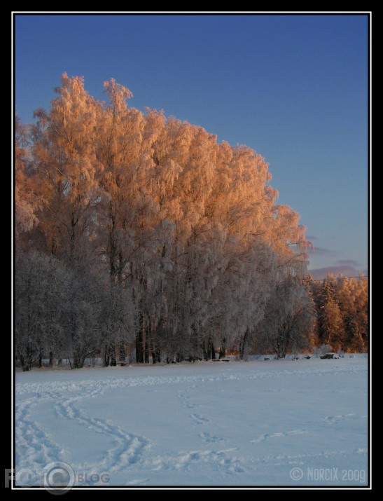 Vakara saulē...