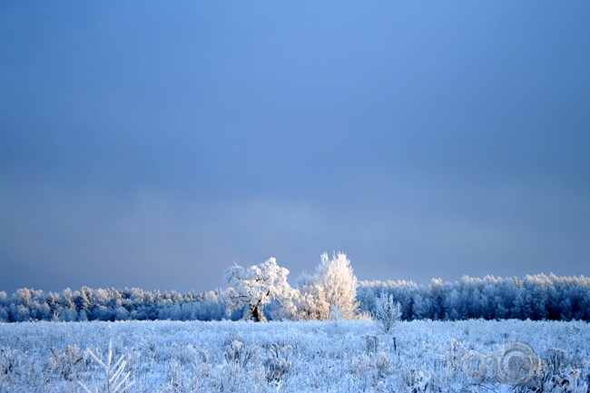 Latvijas ziema