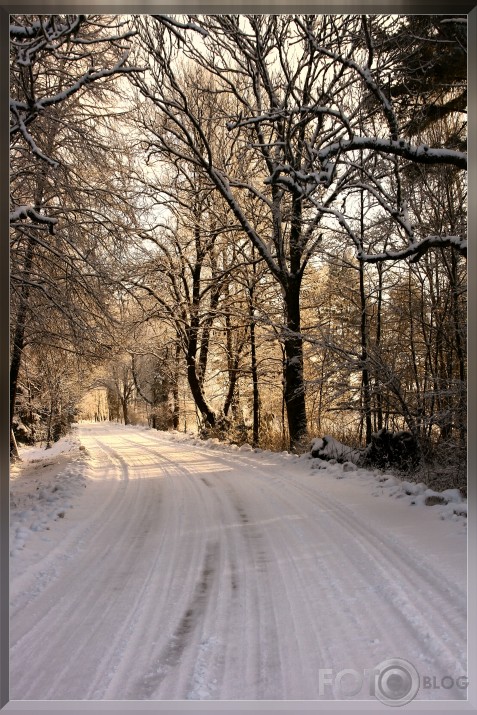 Ziemas saulgrieži Staburagā ..