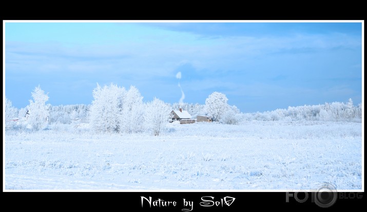 Winter Nature