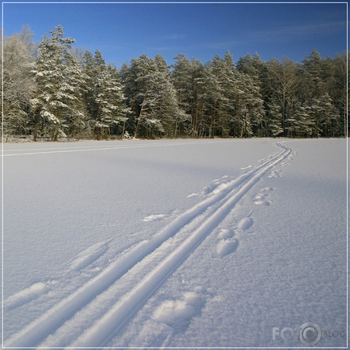 cross country