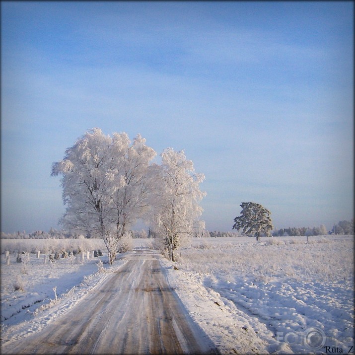 Ziemas stāsts