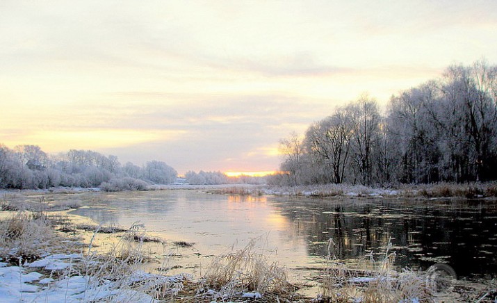 Veltījums ziemai .