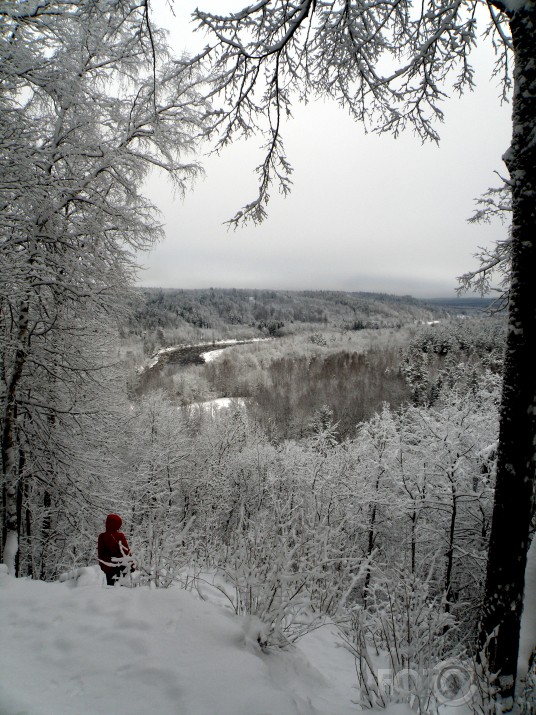 sarkanbaltīteII