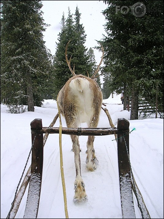 Ak tad šitā jūtas Santa Klauss?!