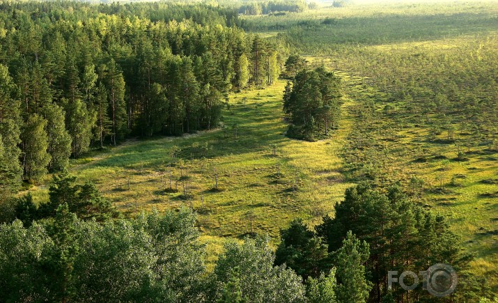 Teiču purvs no augstāka skatu punkta