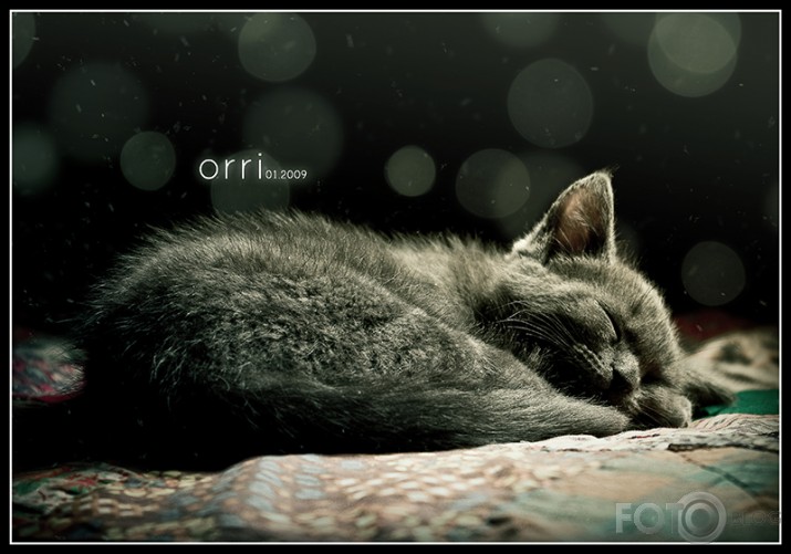 orri