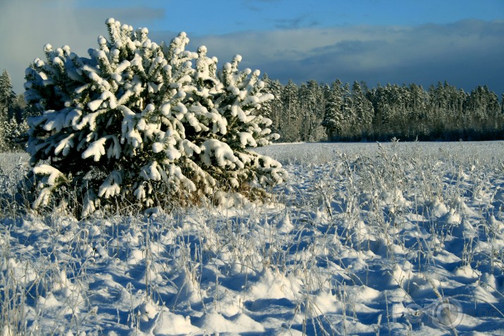 Jel neskumstiet, tepat vien esmu!