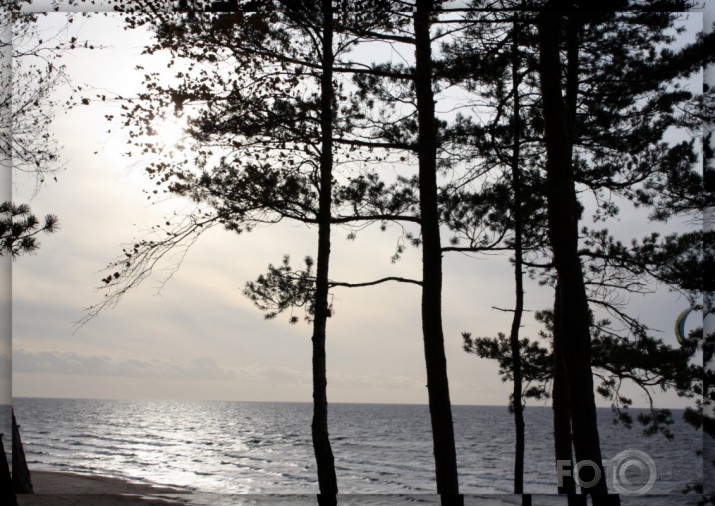 ieskats siltumā