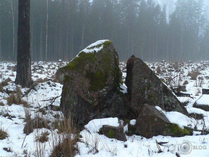 Valla benķis un viņa kaimiņi.