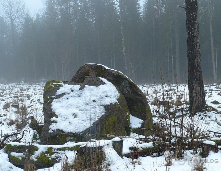 Valla benķis un viņa kaimiņi.