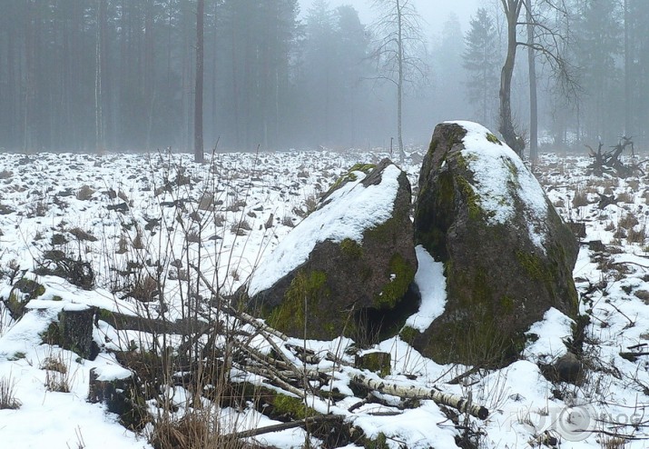 Valla benķis un viņa kaimiņi.