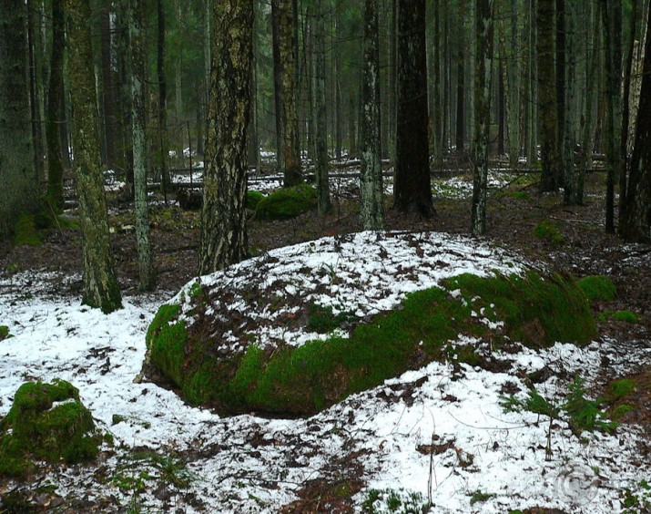 Valla benķis un viņa kaimiņi.