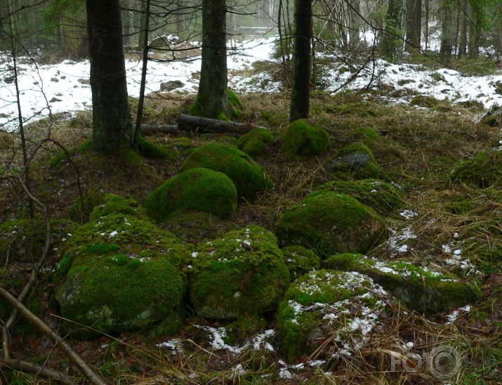 Valla benķis un viņa kaimiņi.