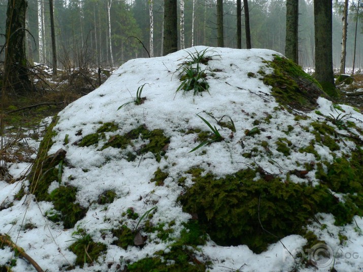 Valla benķis un viņa kaimiņi.