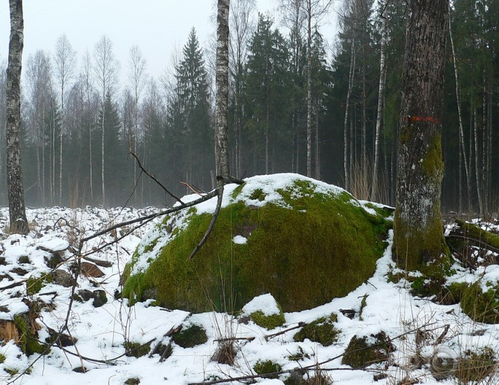 Valla benķis un viņa kaimiņi.