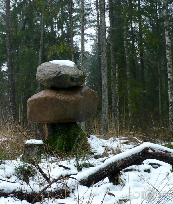 Valla benķis un viņa kaimiņi.