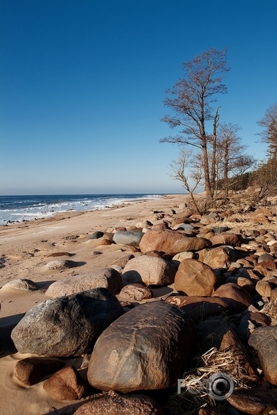 Vidzemes jūrmala