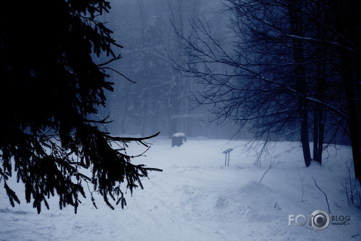 Blue brume