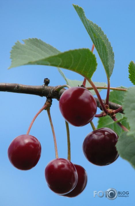 Gribētos kādu odziņu....