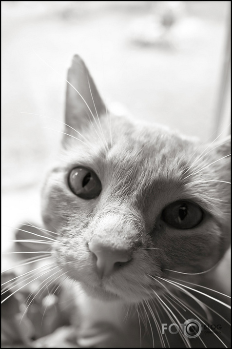 Personība
