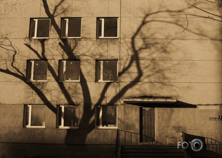 shadow on the house