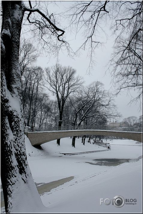 Bastejkalna ainiņa