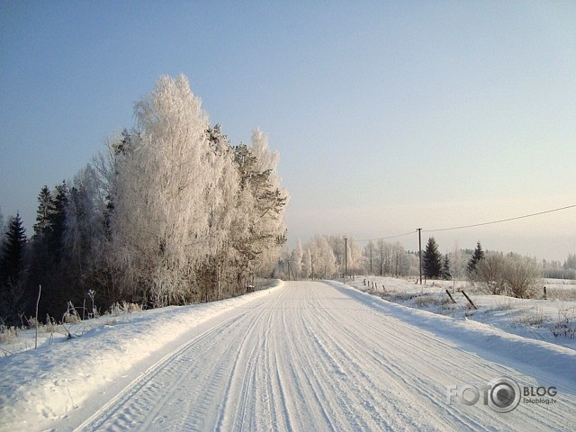 baltā pasaule