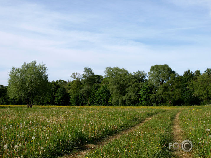 vasara ziemā.