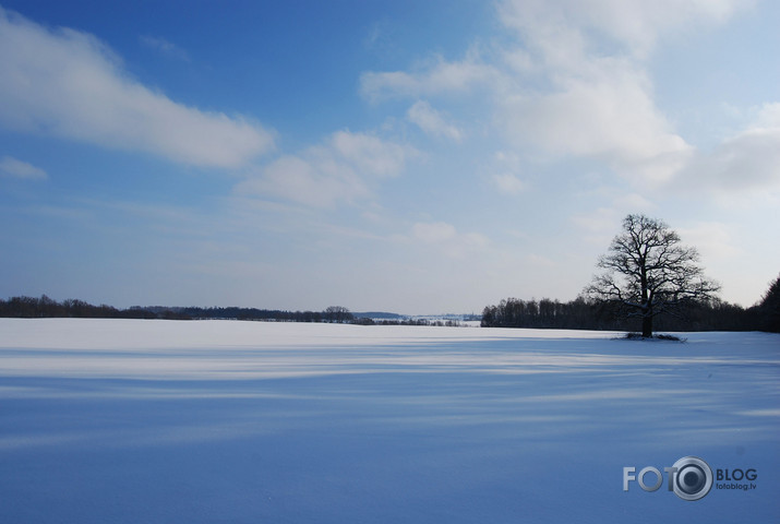 White and quiet