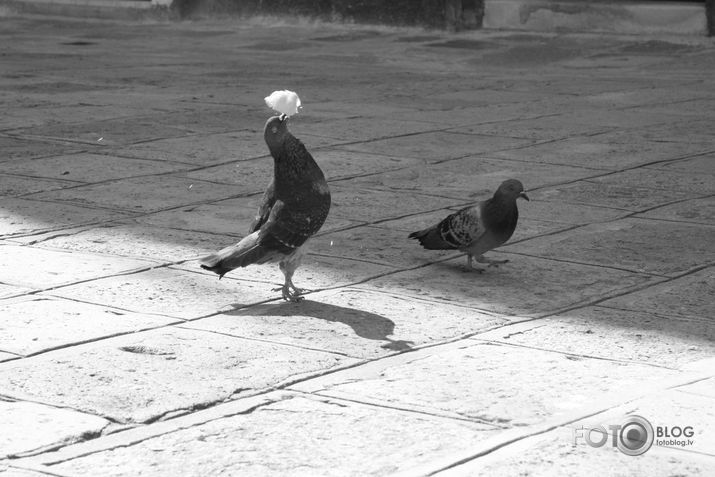 balerina