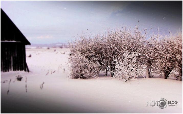cold
