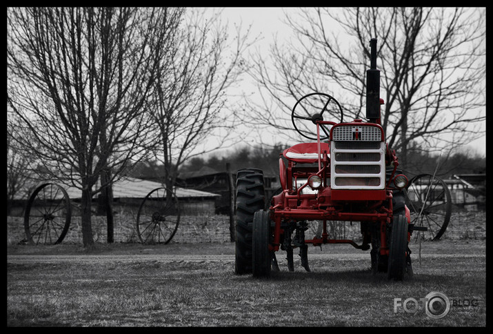 #1705 Red 