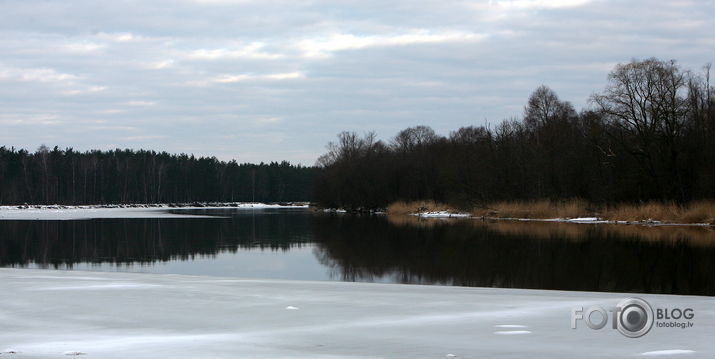 Gauja - pie Carnikavas