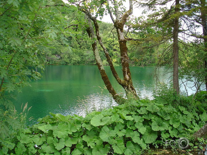 Plitvicas ezeri. Horvātija.