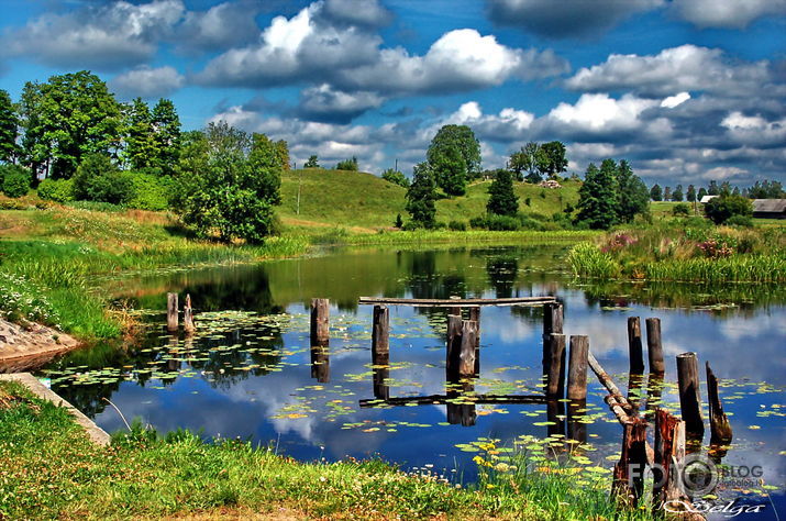 Man relax -  vasara.