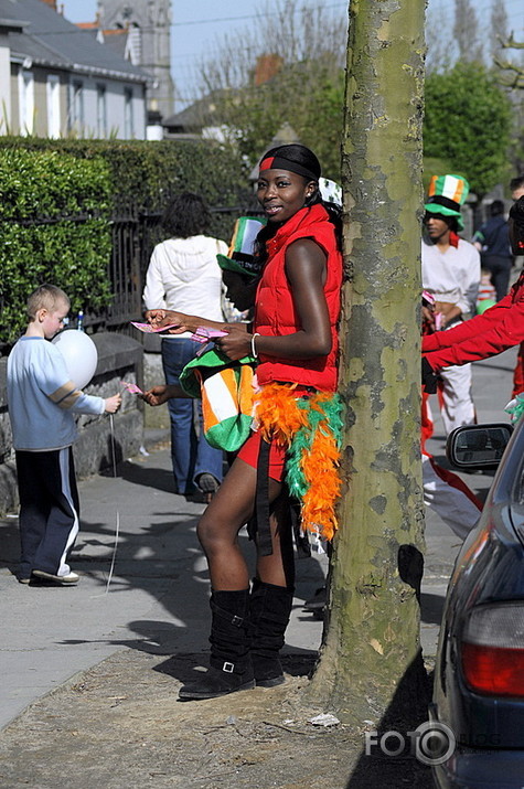 St.Patri<wbr/>ck_Day_L<wbr/>imerick