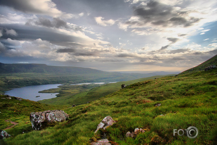 Scotland #6