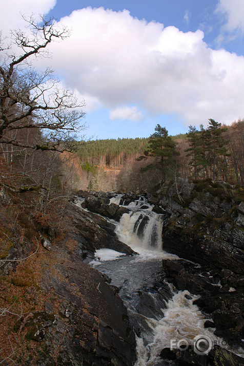 Roggie falls 2