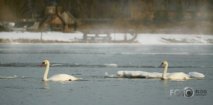 Rīta pusē, lejpus Jaunjelgavas