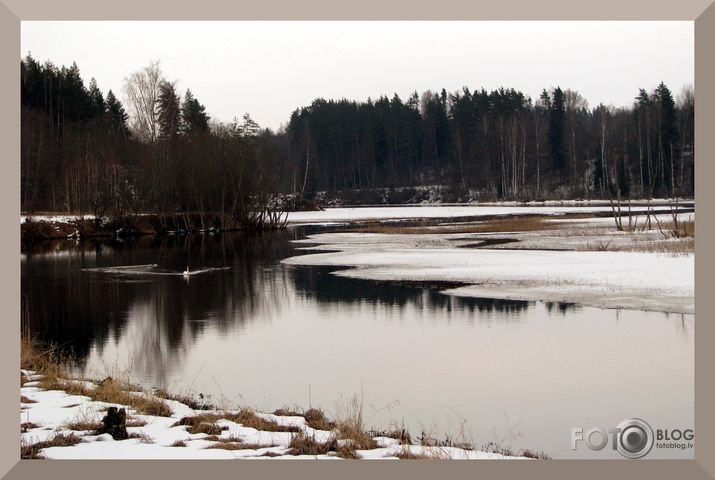 pelēkais pavasaris