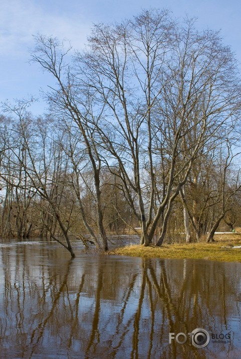 Pavasaris mostas
